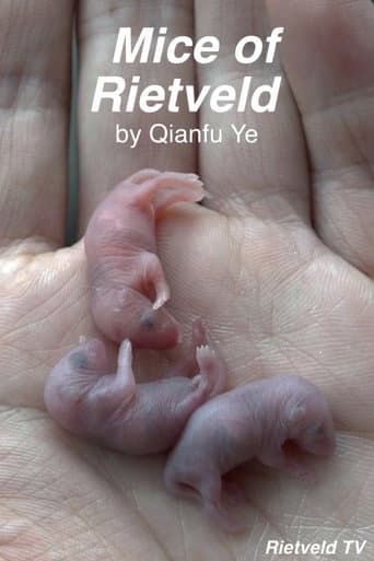 Mice of Rietveld
