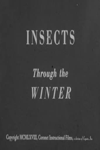 Insects Through the Winter