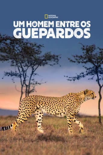Um Homem Entre os Guepardos