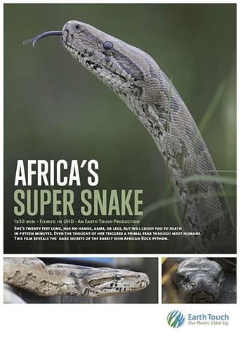 A Cobra Mortal da África